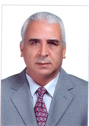 Prof. Mohamed M. Sayed-Ahmed